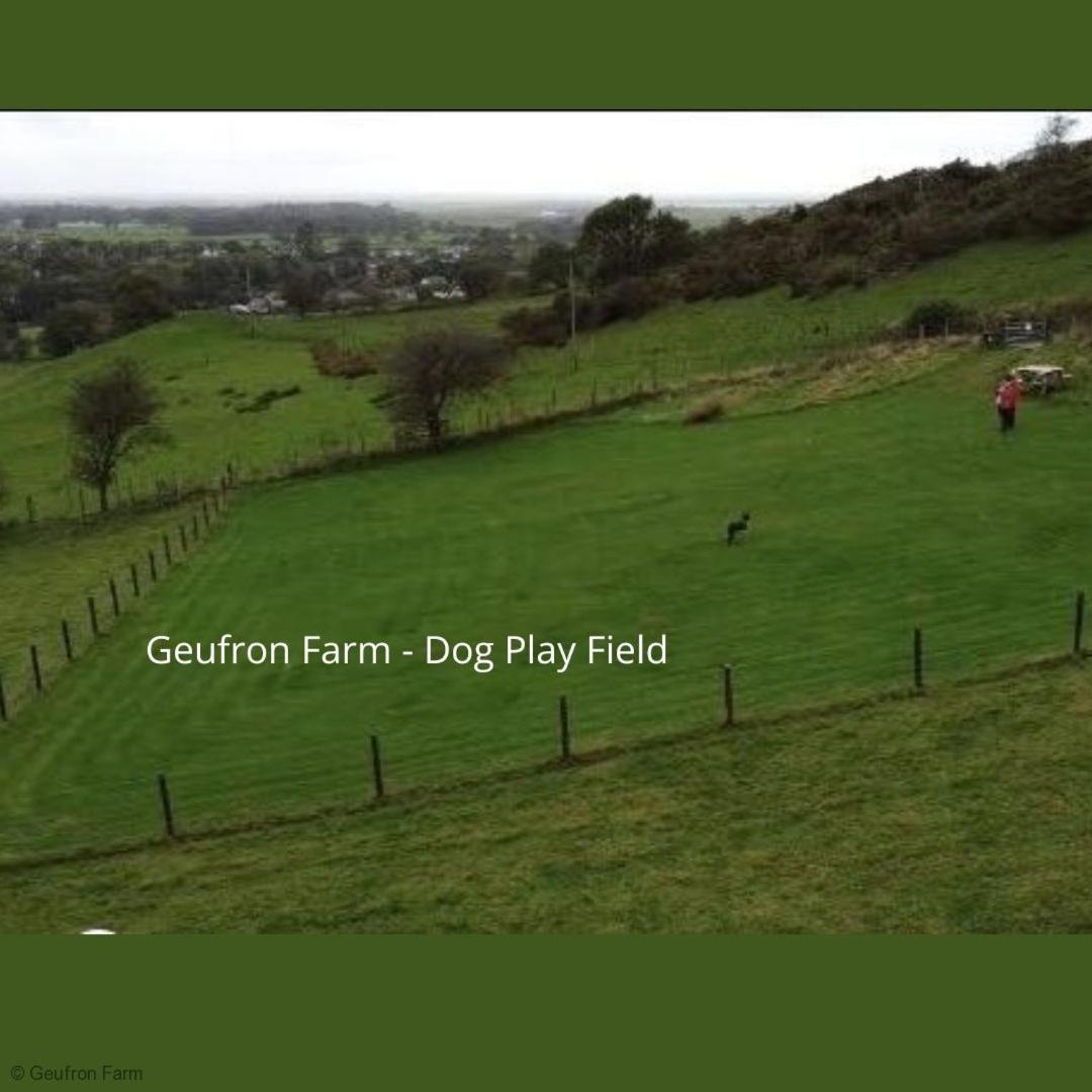 Dog Friendly Cottage, Geufron Farm Near Tywyn Bryn-crug Exterior photo